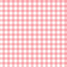 Pink Peach Gingham