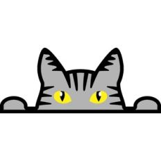 cat border