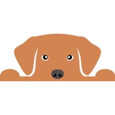 dog border