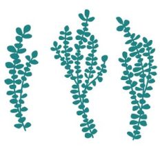 Eucalyptus Greenery Branches