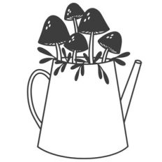Mushrooms in Watering Can