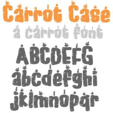 ZP Carrot Case