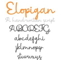 ZP Elopigan Bold