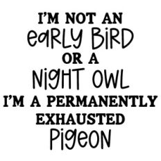 Not An Early Bird Or A Night Owl