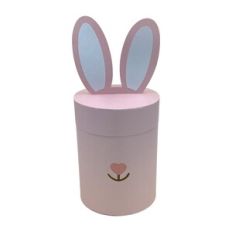 Easter Bunny egg Box