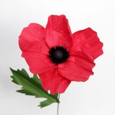 3d Paper Poppy