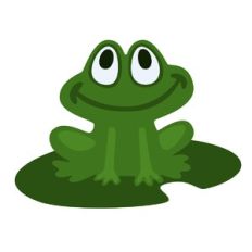 Frog on Lily Pad