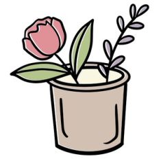 Flowers And Leaves In A Flower Pot