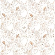 Seashells Background
