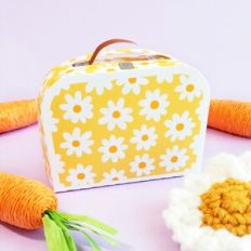 Daisy Flower Mini 3D Lunchbox