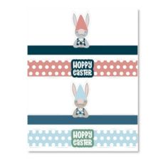 Bunny Gnome Egg Wraps