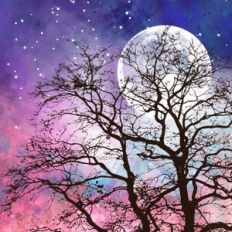 Sunset Night Sky Background Pattern
