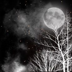 Black and White Night Sky
