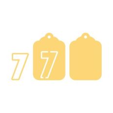TAG 7