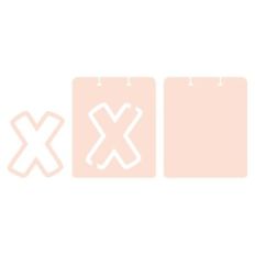 TAG X