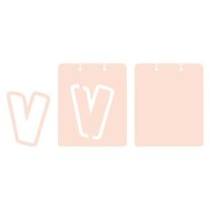 TAG V