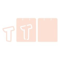 TAG T