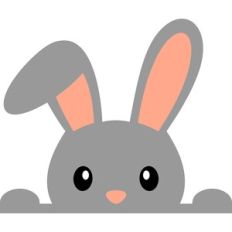 bunny border