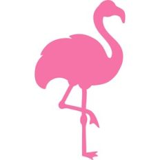 flamingo silhouette