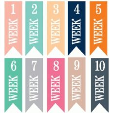 set of 10 weeks 1-10 banners
