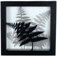 3d five fern shadow box