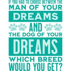 dog of your dreams