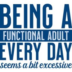 being a functional adult every day seems a bit excessive