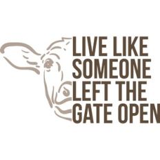 live like someone left the gate open