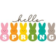 hello spring