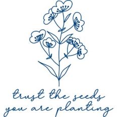 trust the seeds you are planting