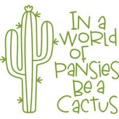 in a world full of pansies be a cactus