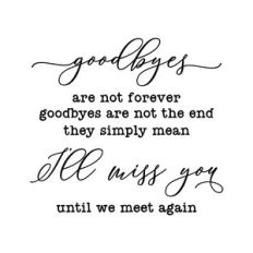 goodbyes are not forever goodbyes are not the end