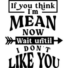 If Think I'm Mean Now Wait Until I don't Like You