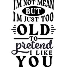 Not Mean Too Old To Pretend I like You