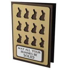 Solid Bunnies Stencil Card