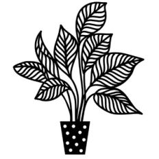 Houseplant