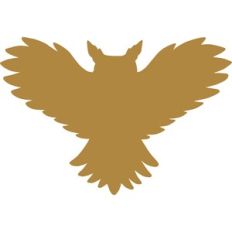 owl flying silhouette