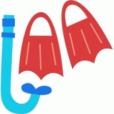 pool fins and snorkle