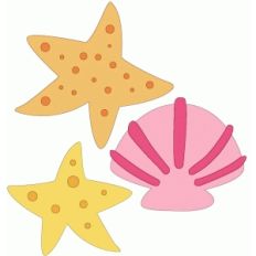 cute shells