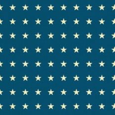 USA stars background