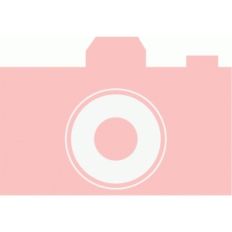 echo park camera