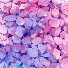 Watercolor Flowers Background