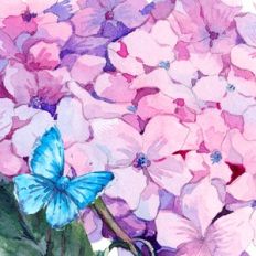 Spring Flowers Background