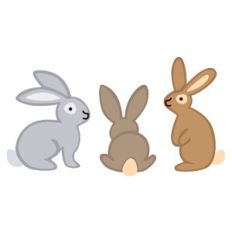 Bunny LineUp