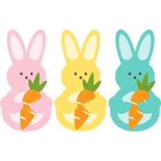 Bunnies