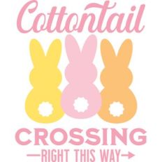 cottontail crossing