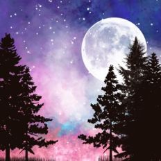 Twilight Forest Background Pattern