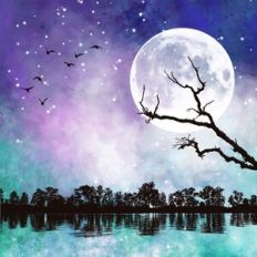 Twilight Lake Background Pattern