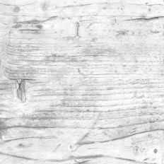White Knotty Wood Wall