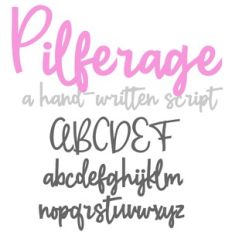 PN Pilferage Bold